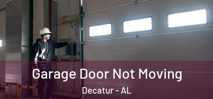  Garage Door Not Moving Decatur - AL