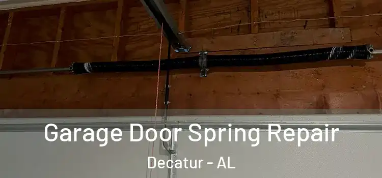  Garage Door Spring Repair Decatur - AL