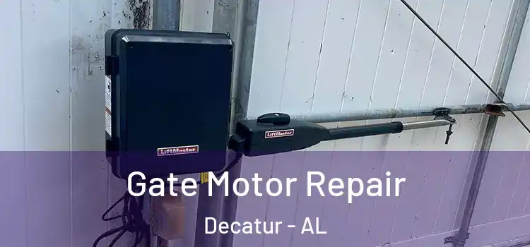 Gate Motor Repair Decatur - AL