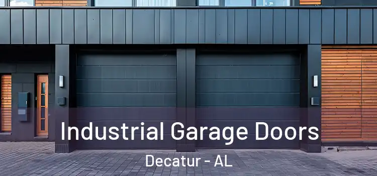  Industrial Garage Doors Decatur - AL